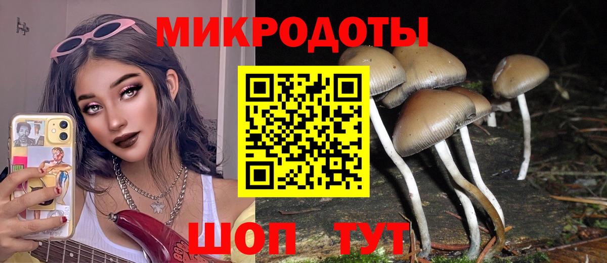 Псилоцибиновые грибы Psilocybine cubensis  купить  цена  Черкесск  Вход с VPN  Галлюциногенные грибы Psilocybine cubensis 